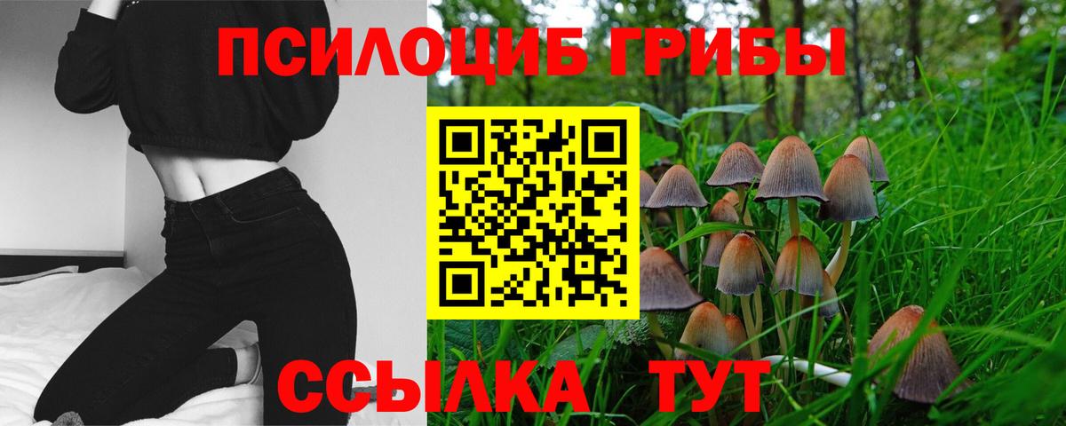 МЕФ Ачинск