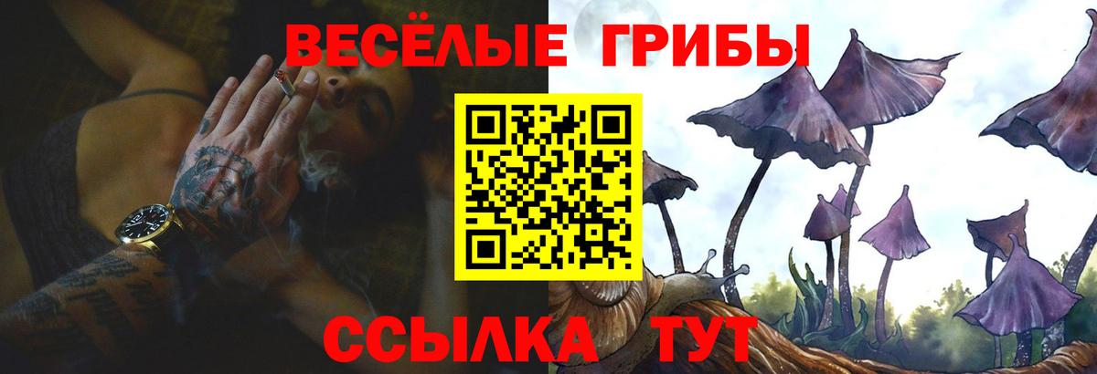 Псилоцибиновые грибы MAGIC MUSHROOMS  Псилоцибиновые грибы мицелий  Вход с VPN  Ачинск 