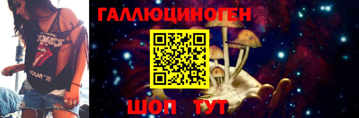 Псилоцибиновые грибы Psilocybine cubensis Ачинск